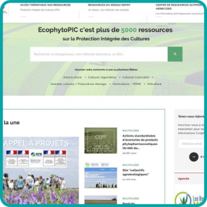 Plateforme de connaissances