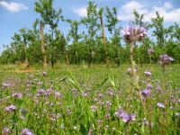 vignette bioreco