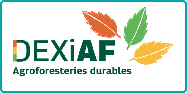 DEXiAF logo