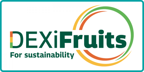 DEXiFruits