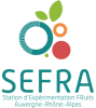 logo SEFRA